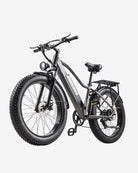 BURCHDA RX20 Fat Tire All Terrain Electric Bike For Adults burchda