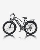 BURCHDA RX20 Fat Tire Electric Bike burchda