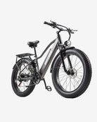 BURCHDA RX20 Fat Tire All Terrain Electric Bike For Adults burchda