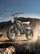 BURCHDA FXH-009 Fat Tire Off-Road E-bikes 