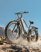 BURCHDA RX20 Fat Tire All Terrain Electric Bike For Adults burchda