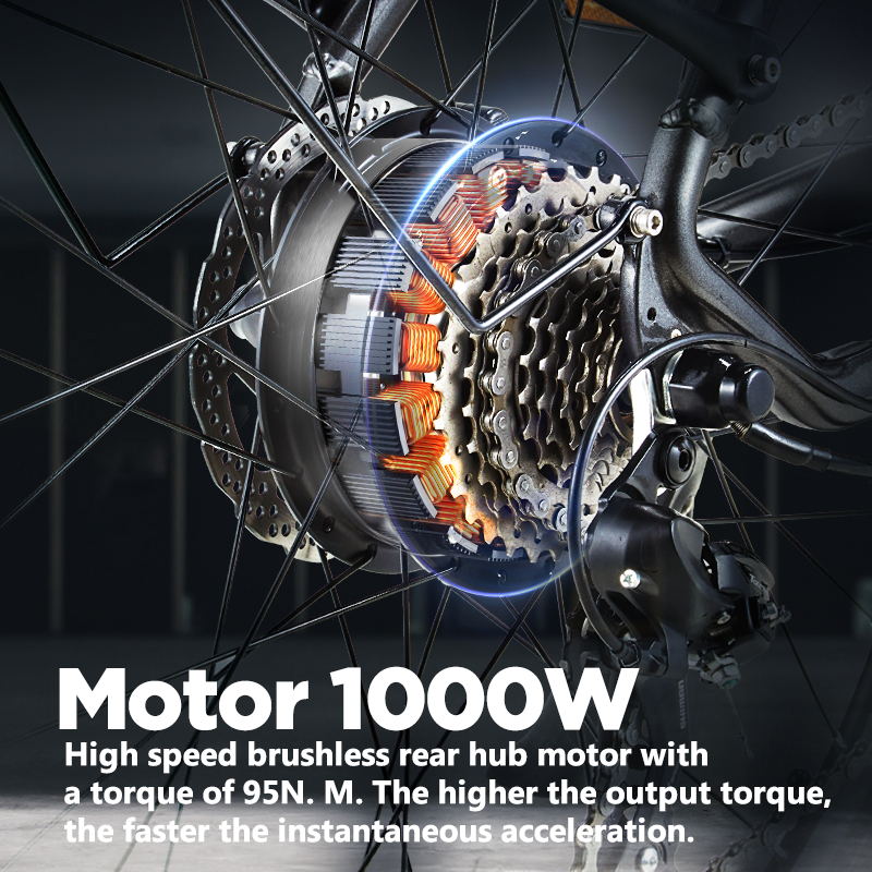 1000W MOTOR