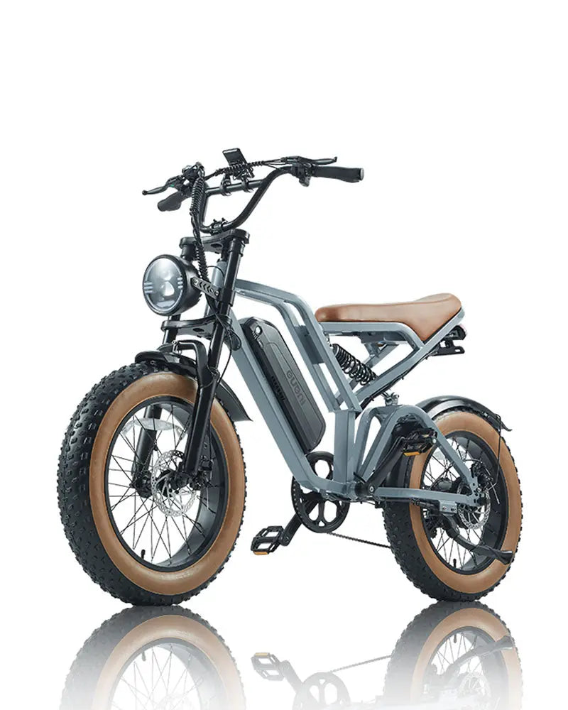 BURCHDA FXH-009 Fat Tire Off-Road E-bikes 