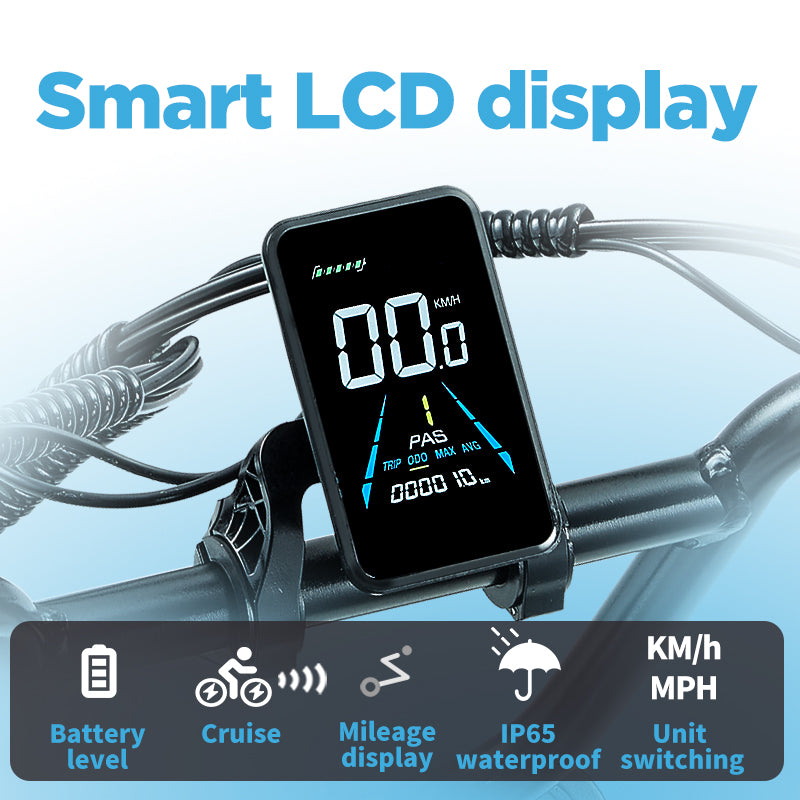 Multifunctional LCD Display