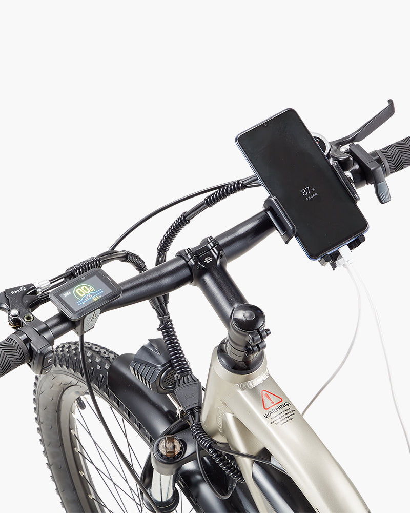 BURCHDA RX10 Commuter Ebike For Adults 