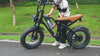 fxh009 ebike